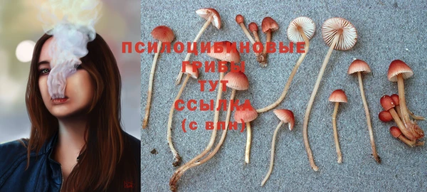 скорость Алексеевка