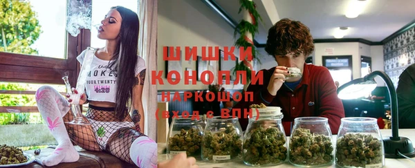 СК Осинники