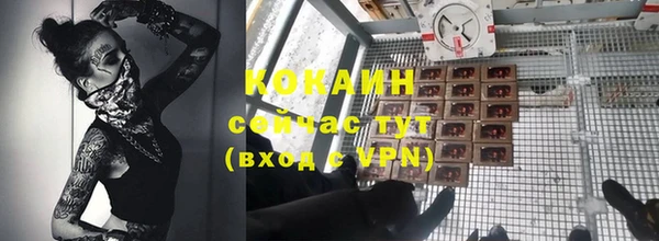 СК Осинники