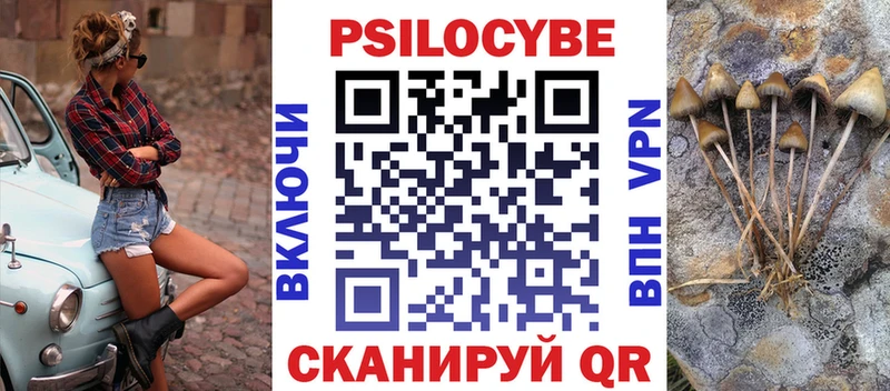 купить   Анжеро-Судженск  Псилоцибиновые грибы Magic Shrooms 